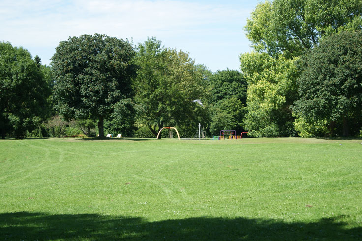 A field in a park, with a play area and trees in the background.
